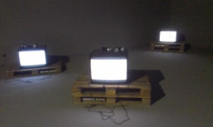 Programmvielfalt. Biennale